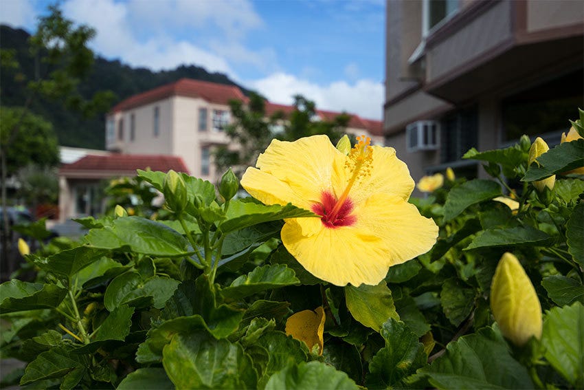 Full-time Manual Focus 